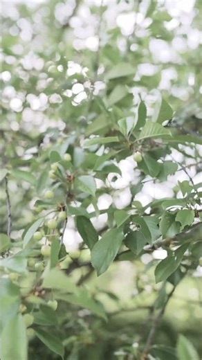 Transgender Secrets That Will Change How You See Ethics FOREVER!