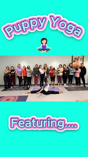 Lake Norman Humane (@lknhumane)’s videos with Manifestation - Perfect, so dystopian