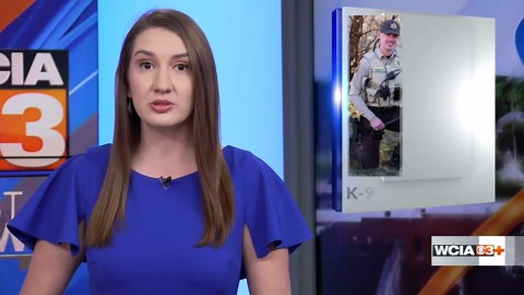 Champaign Co. Sheriff's K-9 retires after 9 years of service