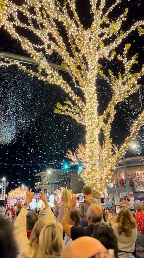 It takes a village to light a city. ✨ Forever grateful for ours. ❤️ #fairhopepublicutilities #lightingofthetrees #publicpower American Public Power Association James Spann This is Alabama | Fairhope Public Utilities