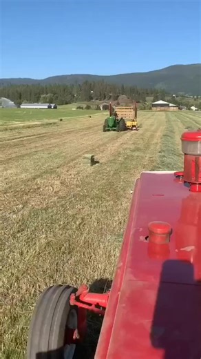 John Deere 730 pulling a New Holland 1033 stackliner. Bringing in the hay! #ClassicGreen #JohnDeereH #JohnDeere730 JohnDeereB | HarmonyHub