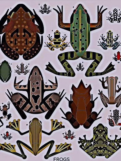 Discover the World's Largest Cane Toad Frog 🐸🌍