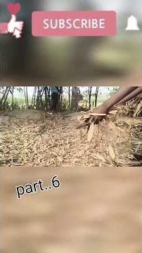 We Build Private Secret Underground With Pools In 50Day#survival #business