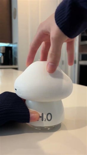 Cute mushroom humidifier + nightlight 🍄✨