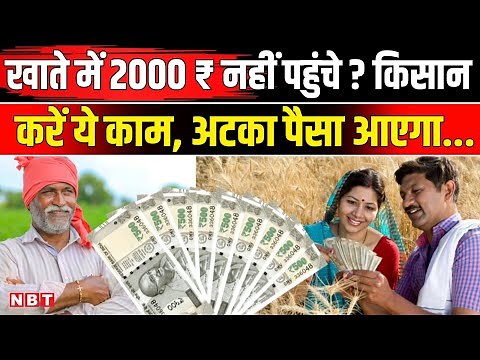 PM Kisan Samman Nidhi Yojana 21st Installment: किसानों के खाते में पैसे नहीं आए तो ये काम करें | NBT