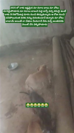 ఈరోజు ఎందుకు వీళ్ళిద్దరూ చాలా బాగా బాగా గుర్తొస్తున్నారు