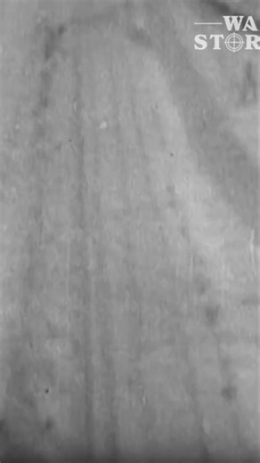 135K views · 3.3K reactions | Even as the airfield fell, the Luftwaffe pressed on, delivering supplies in the dead of night. The final message: "Have done our duty." A haunting echo of sacrifice amid the ruins. #WW2History #Luftwaffe #EasternFront #MilitaryHistory #WorldWar2 #NeverGiveUp | War Stories | Facebook