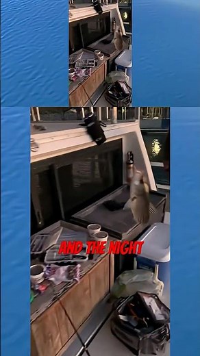 California Delta Boat Dock Fishing For Bass, Bluegill, Catfish, In the Summer Using Red Warms