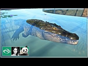 I Built a Saltwater Crocodile Habitat with Underwater Viewing in Planet Zoo