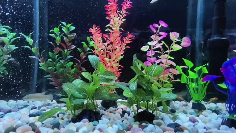 Silk Aquarium Plants, Artificial Fake Aquarium Plants Small Betta Fish Tank Plants Plastic Realistic Decorations Set 2PCS (Style E)