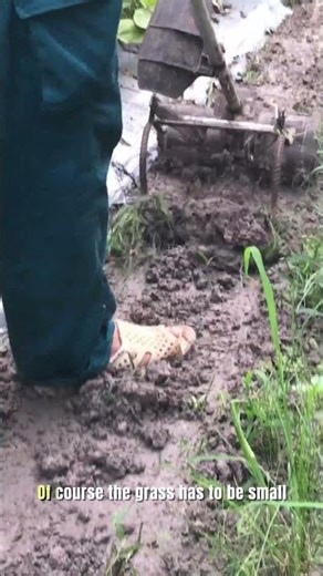 STOP Using Bad Weeding Tools and Try This Instead!