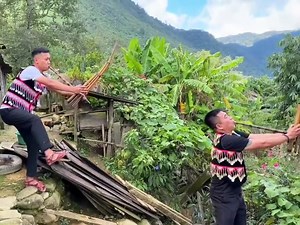 933K views · 10K reactions | 殺 | Quang Linh Store | Facebook