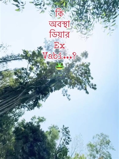 কি অবস্থা ডিয়ার Ex Vabi...?#foryou #foryoupage #viralvideo #mehrab_hossain #fenian