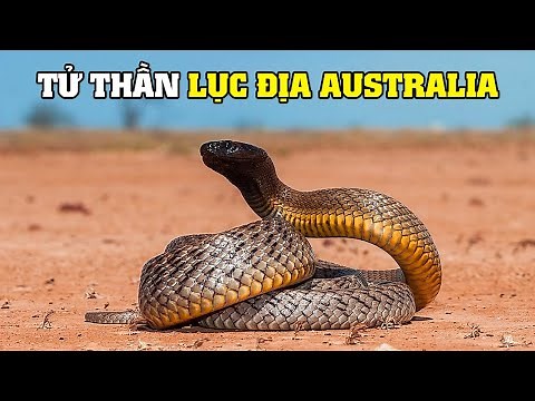 Venom of the Inland Taipan Snake | Explore the World of Wildlife