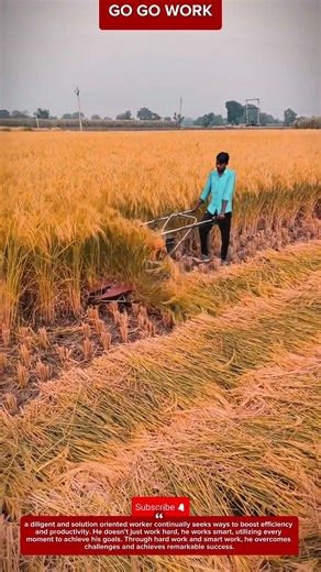 Rice Harvesting by Workers | Traditional Paddy Field Farming #work #workers #farming