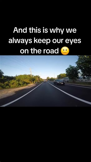 Sunlight hit the brake lights at just the right angle and I almost didn't see them light up 🙄 Watch me break up my two wrists again 😂😂😂 #bikelife #motorcycle #yamahar6 #TwoWheelTok #bikergirl #bikersoftiktok #caribbeanbikelife #fyp