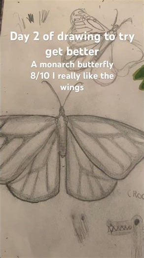 Day 2 of drawing to get beter #lab #labpuppy #retreiver #retreiverpuppy #butterfly #monarch #drawing