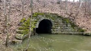 62K views · 386 reactions | Was this the Route that Confederate Gold Traveled during the Civil War? | Adventure Archaeology And Southern Diggers | Facebook