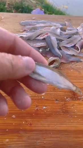 How to Fillet a Fish Step-by-Step Guide