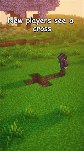 Players see this Cross ☠️ #minecraft
