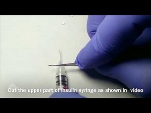 intravenous injection in mice model using lab made catheter