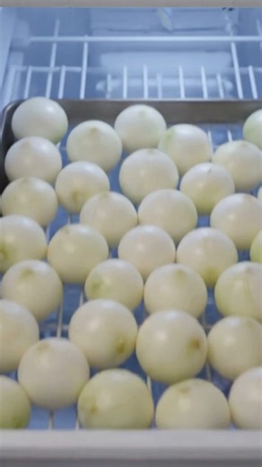 🧅 How to Freeze Chopped Onions for Easy Cooking Freezing chopped onions is a simple, time-saving kitchen trick that keeps onions fresh and ready whenever you need them. Properly frozen onions retain their flavor and cook beautifully in soups, sauces, and sautés, helping reduce waste and speed up everyday meal prep. Full Recipe in (c.o.m.m.e.n.t ).👇👇💬 | Recipesloop