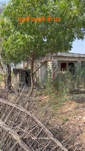 गाँव के पुराने घर ❤️. #short #shortvideo