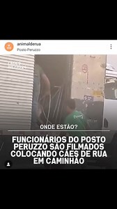 12 reactions · 3 comments | CÃES ERGUIDOS POR CORDA AO PESCOÇO....