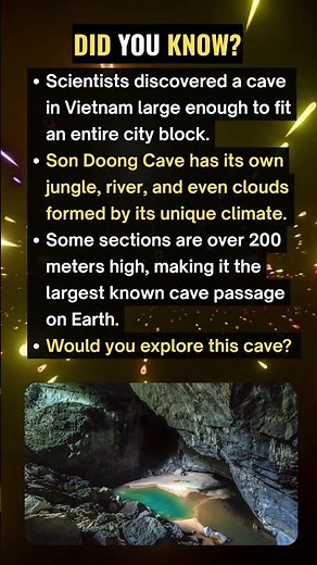 Son Doong Cave The World's Largest Cave Has Its Own Jungle #facts