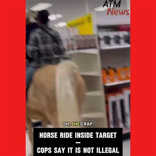 Artistainment News | Man took his #horse to #Target and the horse pooped on the floor 🫠 — 🎥 @cowboyatheart82 | Instagram