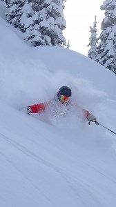 329 reactions · 38 shares | The Wiegele World Snow Globe is in full force! ️ We’ve received 80cm of fresh snow over the past three days, with more falling as we speak! The conditions are all-time. ⛷️ Click the link in our bio or give us a call to grab one of the last seats of the season and experience this for yourself. ☎️ 1.250.673.8381  @johnnystillphoto | March 11th, 2025 | Mike Wiegele Helicopter Skiing | Facebook
