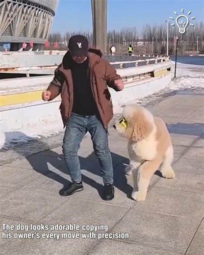 2.6M views · 50K reactions | Get ready for a dance party with a furry twist!  | Pretty Hairstyles | Facebook