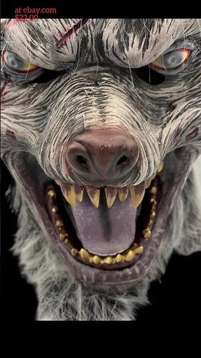 Werewolf Mask Adult Full Head Wolf Costume Halloween Scary Hairy Faux Fur Fangs #horror #halloween