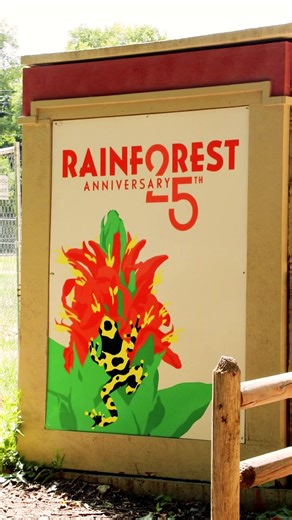 Stop scrolling and stay awhile.🌿 As the temps go down, the Rainforest stays nice and warm year-round. Come see for yourself! | Tulsa Zoo