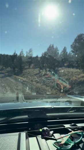 193 reactions · 15 comments | There’s nothing quite like digging pink...