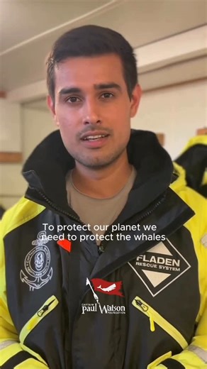 Captain Paul Watson Foundation on Instagram: "Join Captain Paul Watson’s Mission to Defend Antarctica. 🐋💙 Operation Krill Wars will see our fearless crew sail south to protect one of the most fragile ecosystems on Earth. Last season, industrial trawlers reached their krill kill quota in record time, removing 620,000 tonnes of krill from Antarctic waters. Krill form the foundation of life in the Southern Ocean. Stripping them from the feeding grounds of whales, seals, and penguins