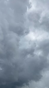 4.3M views · 36K reactions | Check this out. #skydive #skydiving #gopro #parachute #skydiver #sky | Sky4Dive | Facebook