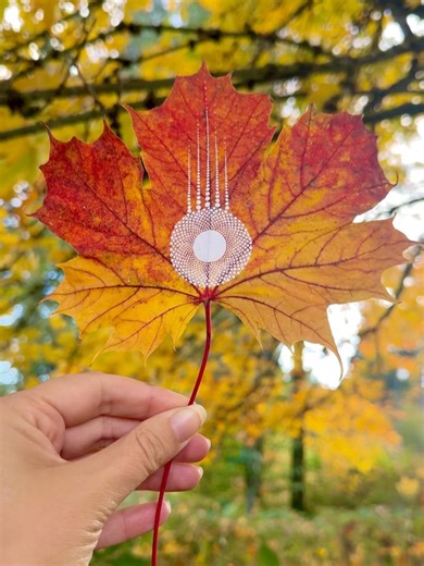 Elspeth McLean on Reels