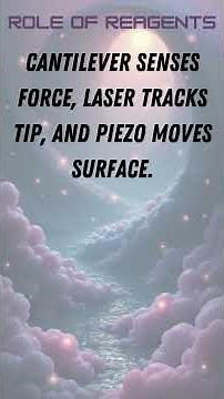 Atomic Force Microscopy AFM