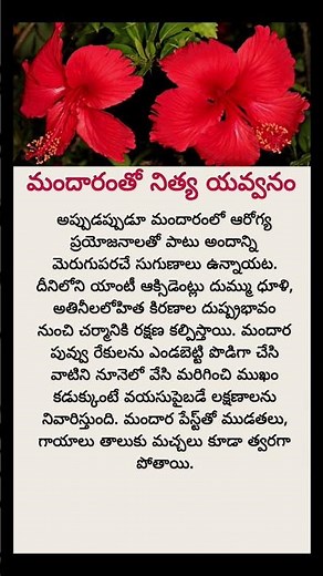 Amazing Health Benefits of Hibiscus Flower | Natural Remedy for Body Heat & Digestion