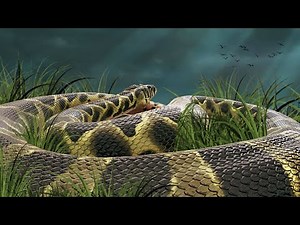 How a Giant Solo Snake Took Over an Official Server...
