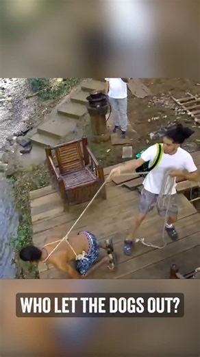 Vincent Carmona Arias on Instagram: "WHO LET THE DOGS OUT ? 😂😁🤣🤣 @elrubioacordeonoficial @tioobeyoficiall16 🔥 @reality_slfs"