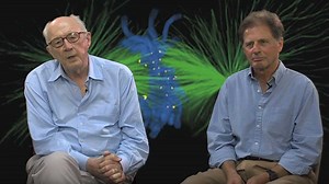 Discovery Talk: The Discovery of Tubulin