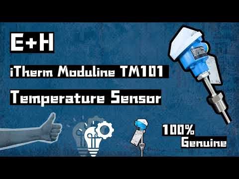 Endress+Hauser iTHERM ModuLine TM101 Industrial Thermometer Review