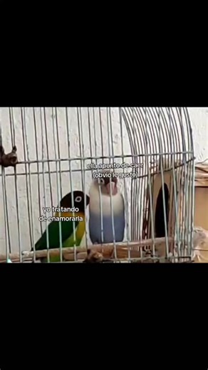 fab | #funny #meme #edit #backstreetboys #loveyou❤️ | Instagram