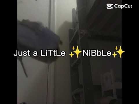 Why the the nom from Roblox I don't want to hear that nom nom nom nom 247