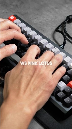 Newest FLUX Magnetic switches: Pink Lotus, Deep Clacky, Ocean Whisper from Wuque Studio