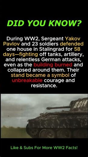 24 Men vs. an Army: Pavlov’s House