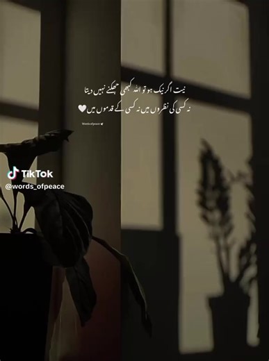 Angry Angel 😈😈😇😇 (@angryangel40)’s videos with original sound - Angry Angel 😈😈😇😇