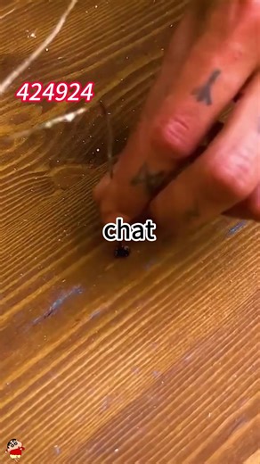 Learn to Read the Second Part of Your Favorite Novel